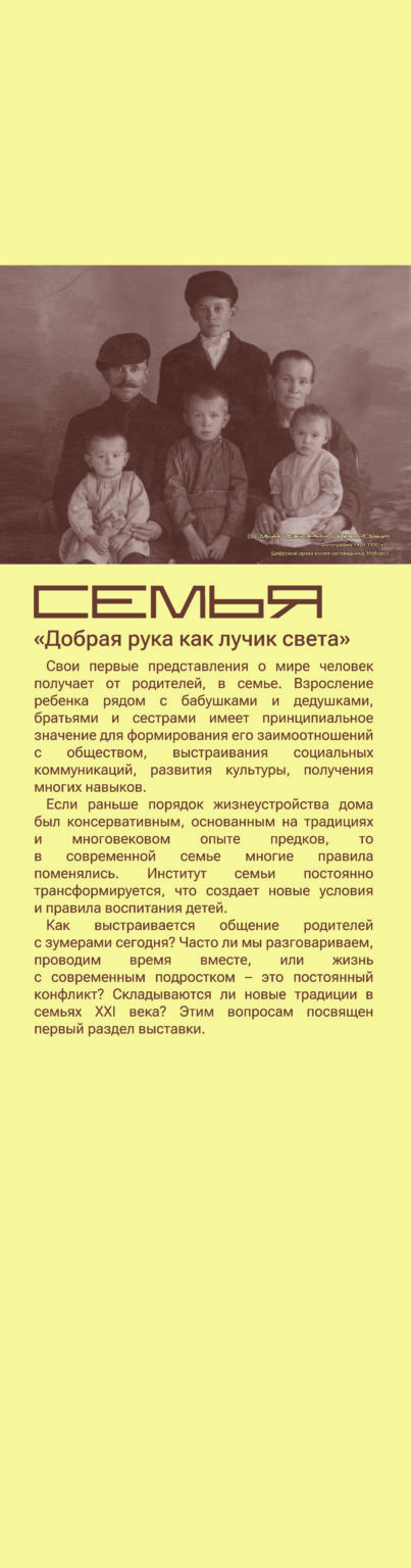 Семья копия