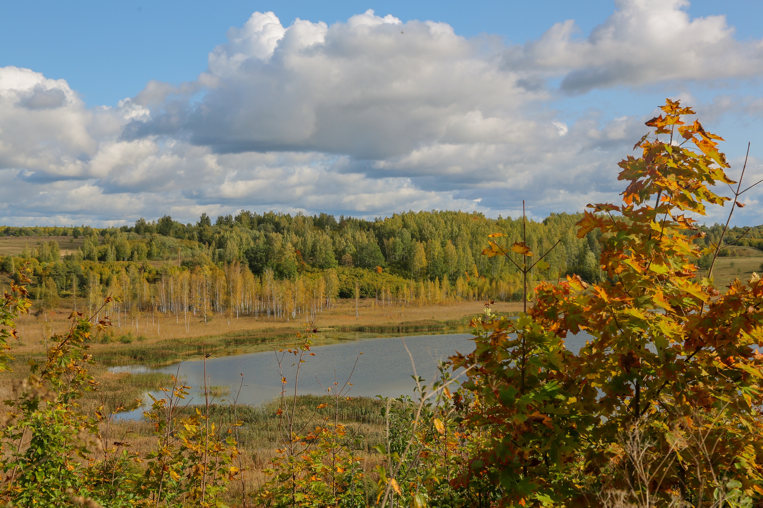 осень